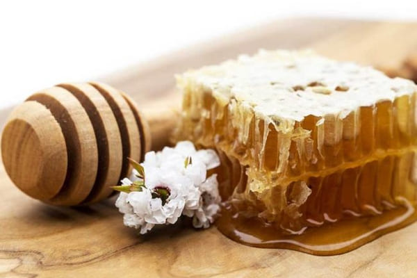 Mật ong Manuka nguồn dinh dưỡng tuyệt vời dành tặng bạn